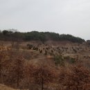 석성농원