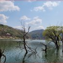 삼기 삼거리 이미지