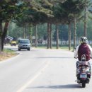 강릉목장 이미지