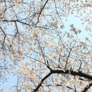 1박2일유람선연계코스 이미지