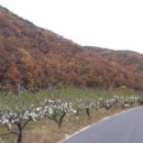 영천시 매산 고택과 산수정 네이버블로그