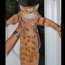 오션바이브 이미지