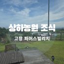웰빙빌리지 | 고창 상하농원 파머스빌리지 조식 뷔페 가격 메뉴 후기