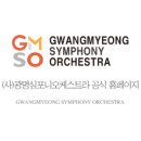 광명심포니오케스트라 정기연주회 이미지