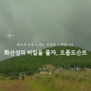 제주명품주