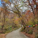 청량산 축융봉 산행(24.11.16) 이미지