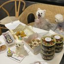 멍멍미식회 | 이천 반려동물 수제 케이크, 수제 간식 간식세끼/멍멍미식회 후기 🤍