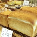 새은하약국 이미지