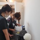 하이펫 애견샵 이미지