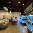 드림독 강아지분양 안심분양센터 김포점 이미지