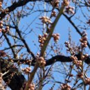 김해건설공업고등학교 이미지