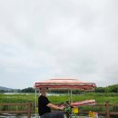 경포호수 1 | 강릉여행 놀거리 필수코스 경포호수 자전거 대여 내돈내산 후기