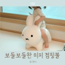 점핑봉봉 | 일본 아기용품 쇼핑 추천템 브루나봉봉 미피 점핑볼 보들보들한 커버