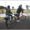 표선리-1 이미지