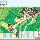 송광사&벚꽃길 | 3월 꼭 가볼만한 곳! 바람 끝에 묻어온 봄,순천 송광사 담장 너머 산수유를 만나다