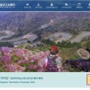 동양훼리