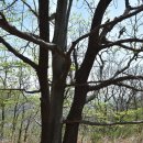 메아리마을 이미지