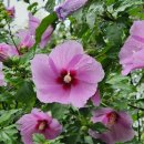 포천일동펜션 이미지