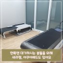 새본 정형외과 이미지