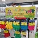 동백화방문구