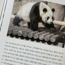 송가네빈대떡 - 계양구 효서로 356 | 송가네빈대떡