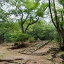 초옥동천 이미지