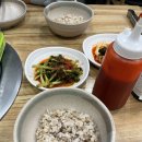 궁중해물손칼국수.아구찜 이미지