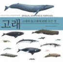 책고래