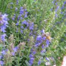 홀리허브 이미지