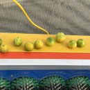 유라농장 이미지