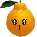 비비디디