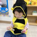 🐝 해빛 - 윙윙 꿀벌이 되었어요 🐝 이미지