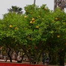 남국농장 이미지