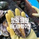 마산수산 | [창원]마산 남성동 싱싱한 해산물 맛집 바다여행수산 해산물 포장 추천 새우 비스크