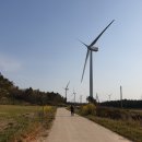 내치해수욕장 Daum카페