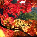 십이선여탕 이미지