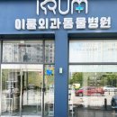 이룸동물병원 | 광주 대형견 노령견 십자인대 파열 수술 후기(이룸동물병원)