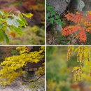 용소약수터 이미지