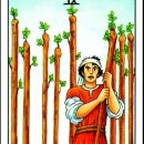 움직이는 타로카드, 초보자 타로의 핵심 키워드…마이너 아르카나 완드 9(Nine of Wands) 이미지