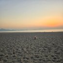 아침해변 이미지