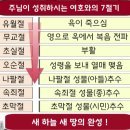 한 사람이 두 주인을 섬기지 못할 것이니 계시-영의 소욕을 좇는 속사람, 육의 소욕을 좇는 겉사람 두 생명 두법. 마태복음 6장 24절 이미지