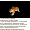 펫클래식