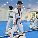 한국체대 비전태권도장 이미지