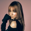 DAZED 카카오 검색결과