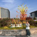 고큐바테크놀로지(주)서울사무소 | 서울 데이트 가볼만한곳 마곡 서울식물원 | 11월 서울...좋은곳 주제정원 &amp; 온실 입장료 주차 관람 후기