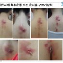 방송 제작PD에서 요가강사로 그리고 SNPE수석강사가 되기까지 이미지