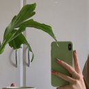 피터패트