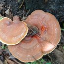 갈마 마을회관 | 예천 감천면 갈마골산