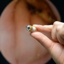 24시 코끼리동물의료센터 이미지