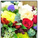 금강프라자(도마교동) | 평촌꽃집 평촌역꽃집 평촌스마트스퀘어근처꽃집 포시즌플라워(안양시청 옆 아크로팰리스 1층) Tel...